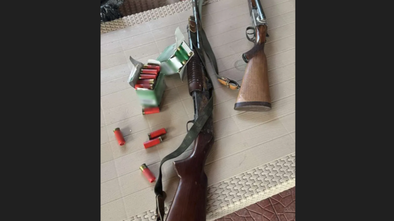 Άνω Λιόσια: Πήγαν για παράνομη ηλεκτροδότηση και βρήκαν όπλα - 19 συλλήψεις