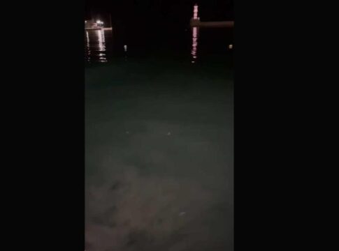 Χανιά: Λύματα στο Ενετικό Λιμάνι (βίντεο)