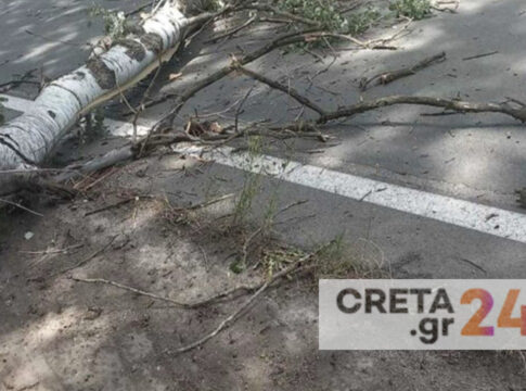 Δέντρα έπεσαν στον ΒΟΑΚ – Οι ισχυροί άνεμοι έριξαν και στύλους ηλεκτροδότησης