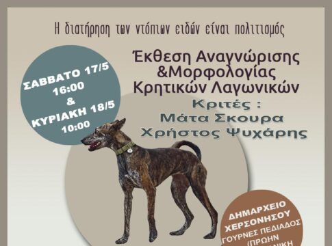 Έκθεση αναγνώρισης κρητικών λαγωνικών στον Δήμο Χερσονήσου