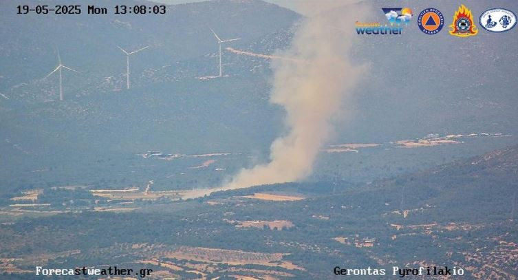 Φωτιά στη Ριτσώνα