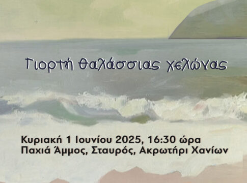 Γιορτή θαλάσσιας χελώνας στο Σταυρό