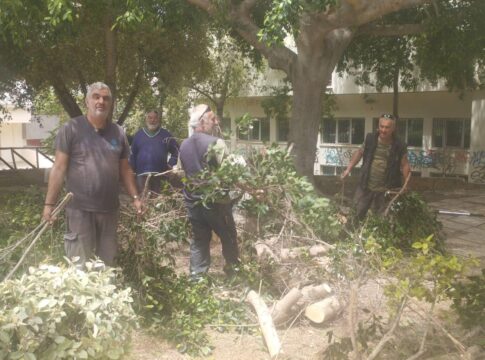 Hράκλειο: Μεγάλο κλαδί δέντρου έπεσε στο πεζοδρόμιο