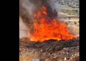 Η Ρουμανία «ψηφίζει Ευρώπη»