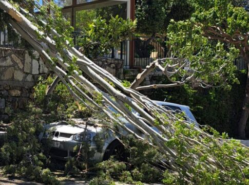 Ηράκλειο: Δέντρο «προσγειώθηκε» πάνω σε αυτοκίνητο – Εικόνες
