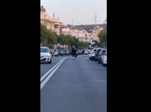 Ηράκλειο: Κάνει σούζες… ανενόχλητος στην Ούλωφ Πάλμε – Βίντεο