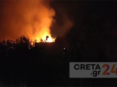 Κινδύνεψαν σπίτια και ξενοδοχείο από τη φωτιά στη Σητεία – Βίντεο