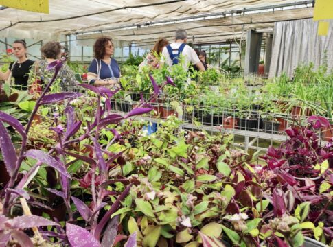 O Λευτέρης Αυγενάκης για τον Εορτασμό της διεθνούς Ημέρας Μαγείας Φυτών