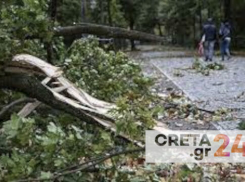 Προβλήματα στο Ηράκλειο από τους ισχυρούς ανέμους – Πτώσεις δέντρων «σήμαναν» συναγερμό