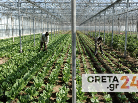 Θερμοκηπιακές εκμεταλλεύσεις: Στην Κρήτη η… μερίδα του λέοντος