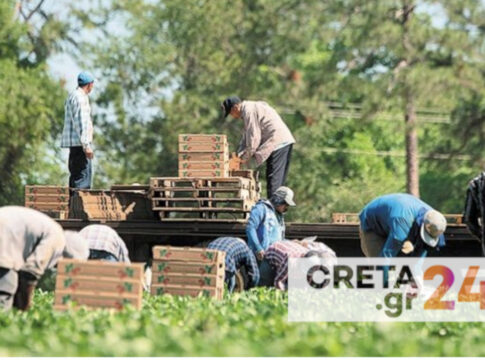 Βολουδάκη στο CRETA: Αλλαγές στις μετακλήσεις εργαζομένων από τρίτες χώρες – Τι θα προβλέπει το νέο νομοσχέδιο