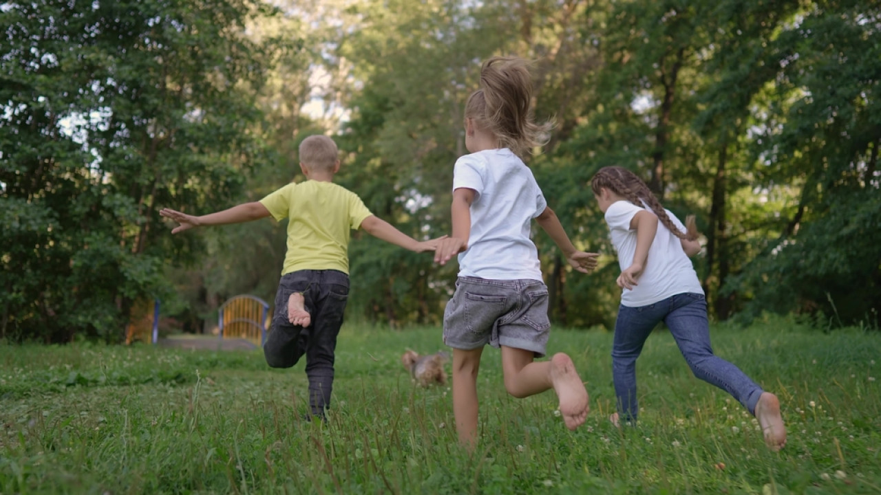 ΔΥΠΑ: Τα προσωρινά αποτελέσματα για το κατασκηνωτικό πρόγραμμα