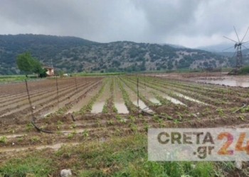 Έγινε και πάλι… λίμνη ο κάμπος του Οροπεδίου Λασιθίου – Χαριστική «βολή» στις καλλιέργειες οι τελευταίες βροχοπτώσεις (εικόνες)
