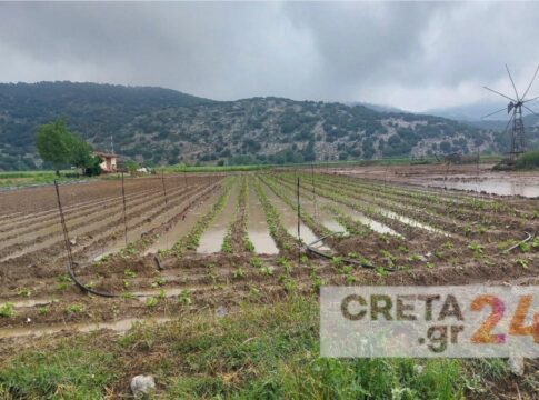 Έγινε και πάλι… λίμνη ο κάμπος του Οροπεδίου Λασιθίου – Χαριστική «βολή» στις καλλιέργειες οι τελευταίες βροχοπτώσεις (εικόνες)