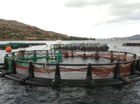 Έκλεψαν…ψάρια από την πιλοτική μονάδα του ΕΛΚΕΘΕ στην Κρήτη – Κατέστρεψαν εξοπλισμό