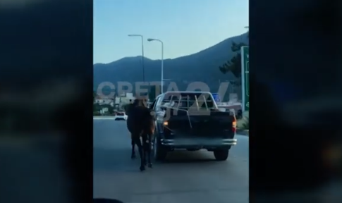 Hράκλειο: Οδηγός έδεσε άλογο με σχοινί και το έσερνε με αγροτικό