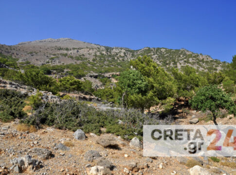 Hράκλειο: Σε σοκ περιπατητές σε δάσος – Βρήκαν νεκρό έναν άνδρα