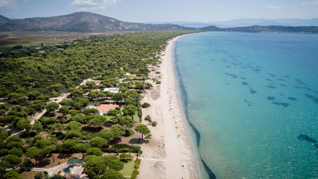Κατεπείγουσα προκαταρκτική έρευνα για αυθαίρετα στον Σχινιά