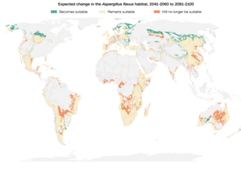 Μύκητας που μπορεί να μας «φάει από μέσα προς τα έξω» μπορεί να εξαπλωθεί στον πλανήτη λόγω της κλιματικής αλλαγής