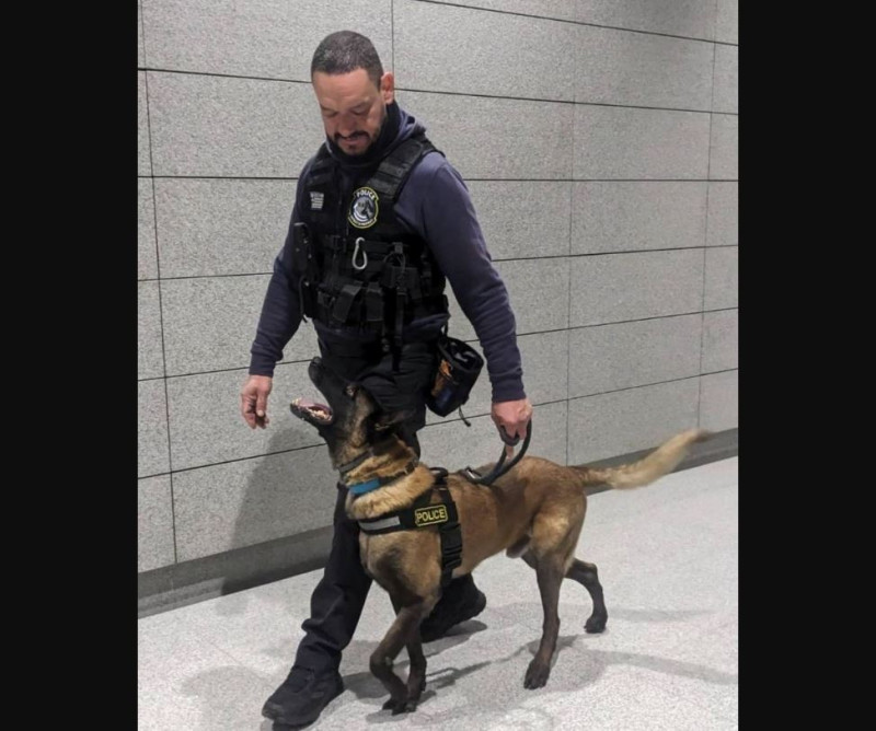 O Όσκαρ ο πιο διάσημος σκύλος περιπολίας της ΕΛ.ΑΣ. βγαίνει στη σύνταξη