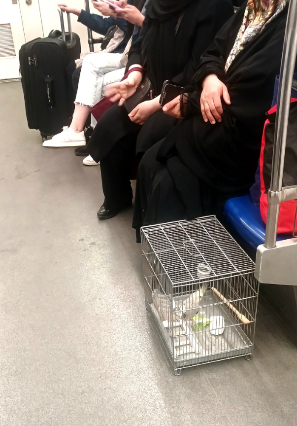 Τεχεράνη