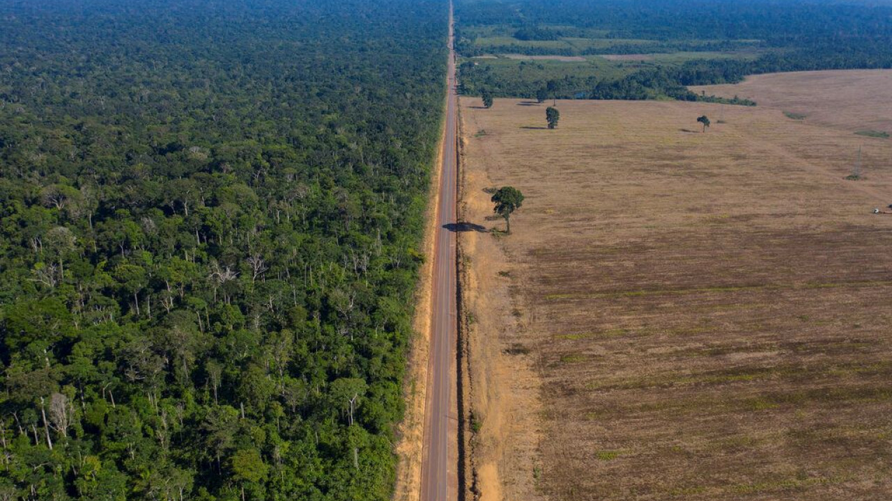 Τραπικά δάση: Καταστροφή ρεκόρ τη χρονιά που μας πέρασε