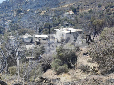 Εικόνες καταστροφής στα Χανιά: Γκρίζο τοπίο, καμένες περιουσίες και ζώα