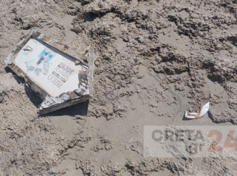 Φαλάσαρνα: Έτσι καταστράφηκε η χελωνοφωλιά