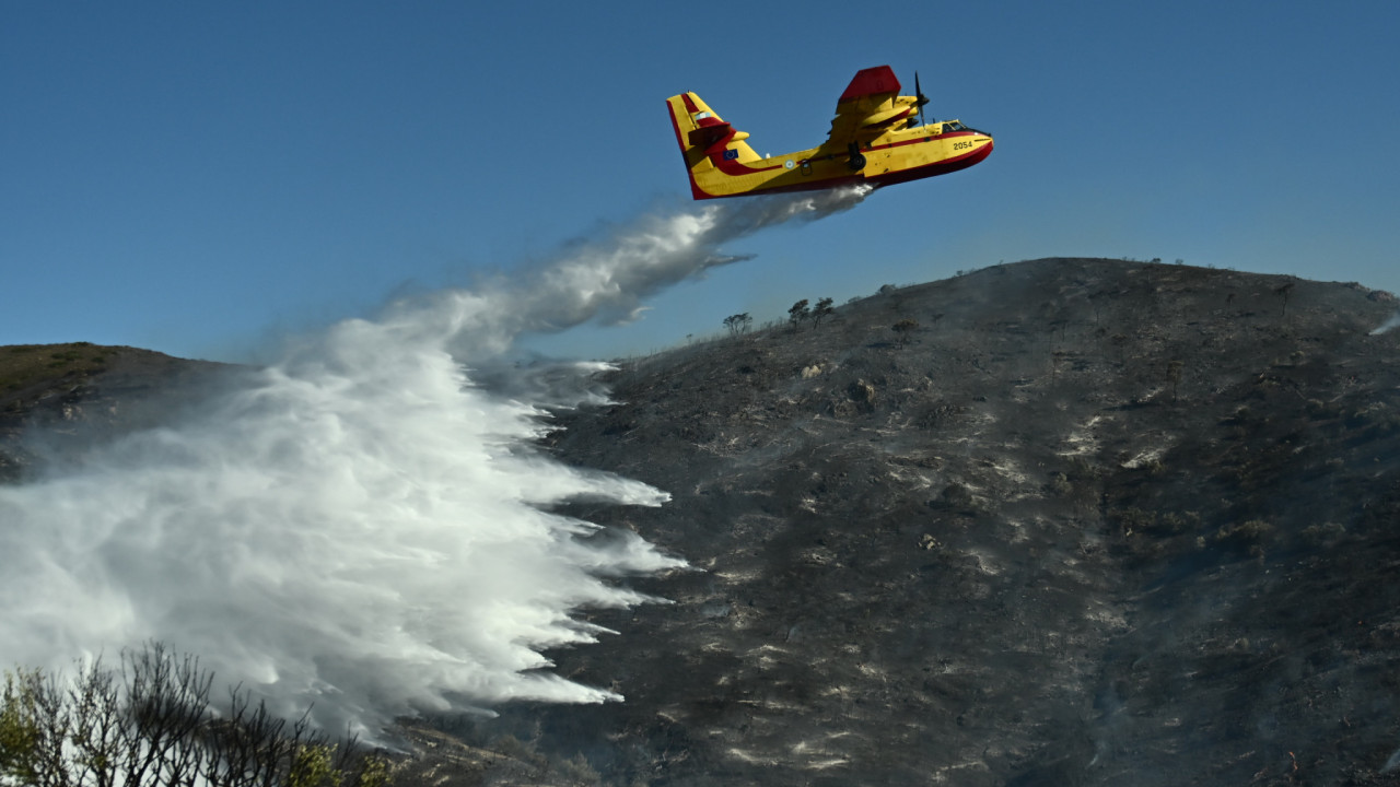 Φωτιά σε δασική έκταση στην περιοχή Χλόη Ροδόπης