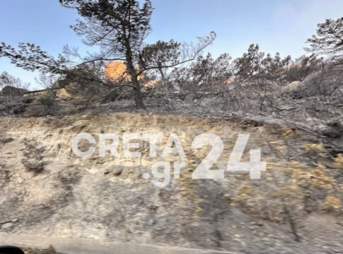 Φωτιά στην Ιεράπετρα: Πολύ δύσκολες οι πυρομετεωρολογικές συνθήκες μέχρι αργά το απόγευμα