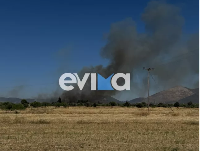 φωτιά