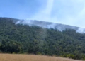 Η πείνα θερίζει 733 εκατομμύρια ανθρώπους στον πλανήτη