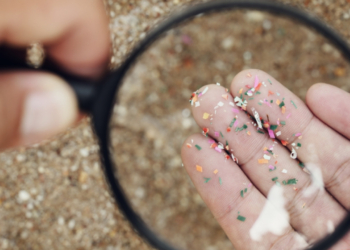 Ισπανία: Επιστήμονες βρήκαν μικροπλαστικά στο σπέρμα και τις ωοθήκες