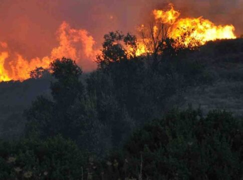 Κίνδυνος Πυρκαγιάς πολύ υψηλός για αύριο Πέμπτη 03 Ιουλίου σε όλη την Κρήτη