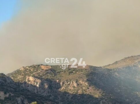 Μάχη με διάσπαρτες εστίες στα Χανιά – Ανυπολόγιστη καταστροφή