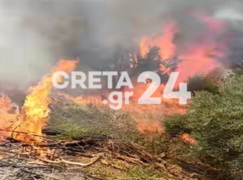 Μεγάλη φωτιά στη Μεσαρά – Επιχειρούν ισχυρές πυροσβεστικές δυνάμεις, σηκώθηκε ελικόπτερο (εικόνες -βίντεο)