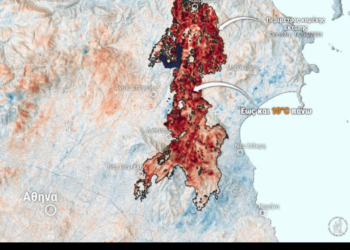Meteo: Αυξάνονται οι θερμοκρασίες εδάφους λόγω απώλειας δασικής βλάστησης
