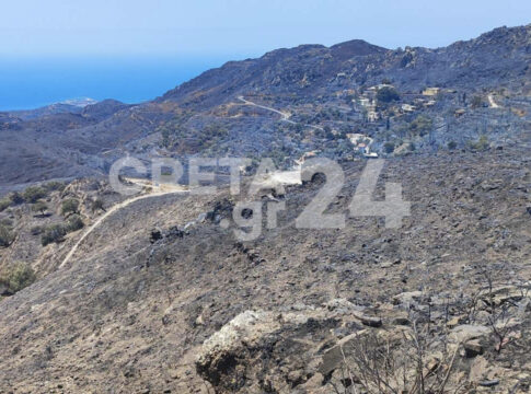 Πυρκαγιά στη Χανιά: Ανυπολόγιστη οικολογική καταστροφή – Κλιμάκια καταγράφουν τις ζημιές σε σπίτια, καλλιέργειες και ζωικό κεφάλαιο