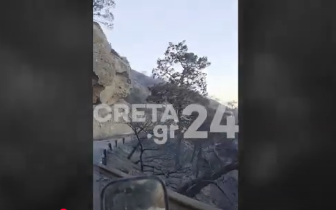 Πυρκαγιά στην Ιεράπετρα: Το καταπράσινο τοπίο έγινε… γκρίζο (βίντεο)