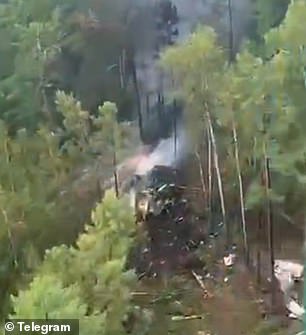 Videos shared on Telegram by emergency workers riding in rescue helicopters showed the smouldering ruins of the plane scattered amid the trees