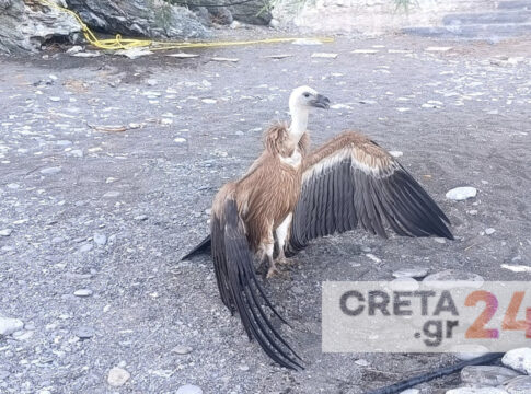 Σώθηκε τελικά ο… Ίκαρος!