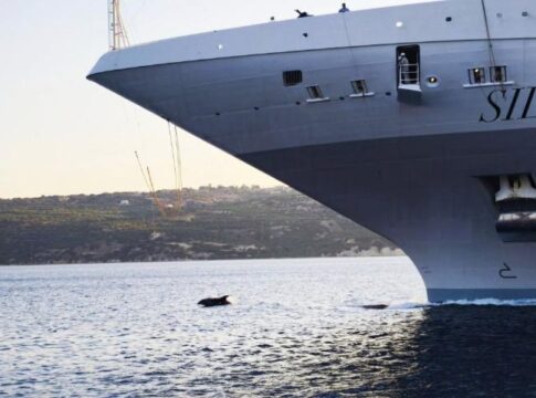 Τα δελφίνια… υποδέχτηκαν το κρουαζιερόπλοιο στην Κρήτη – Εικόνες