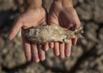 Τουρκία: Στέρεψε λίμνη λόγω της ξηρασίας και της ακραίας ζέστης – Φωτογραφίες  