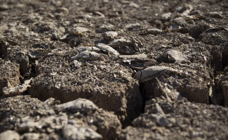 λιμνη τουρκια