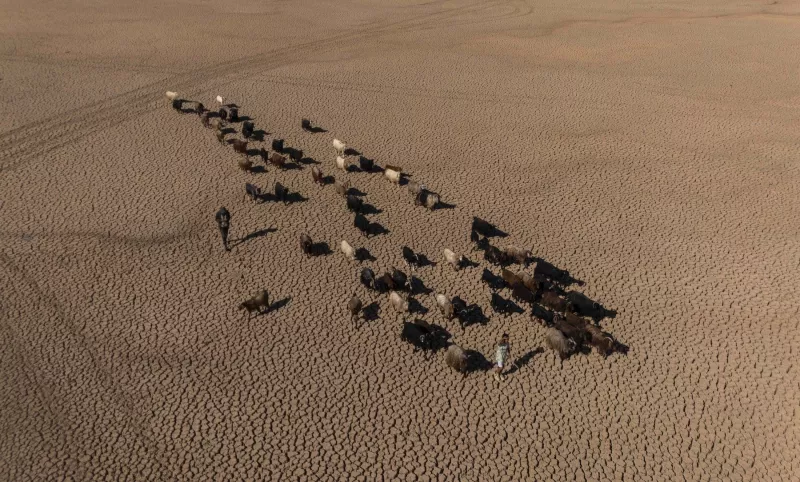 λιμνη τουρκια