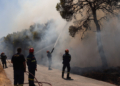Αχαΐα: Τρεις διαφορετικές πυρκαγιές