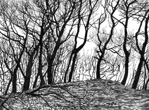 Ανοιχτή συζήτηση: Επανενώνοντας τον Άνθρωπο με τη Φύση – Από την Κλιματική Κρίση στη Συμφιλίωση