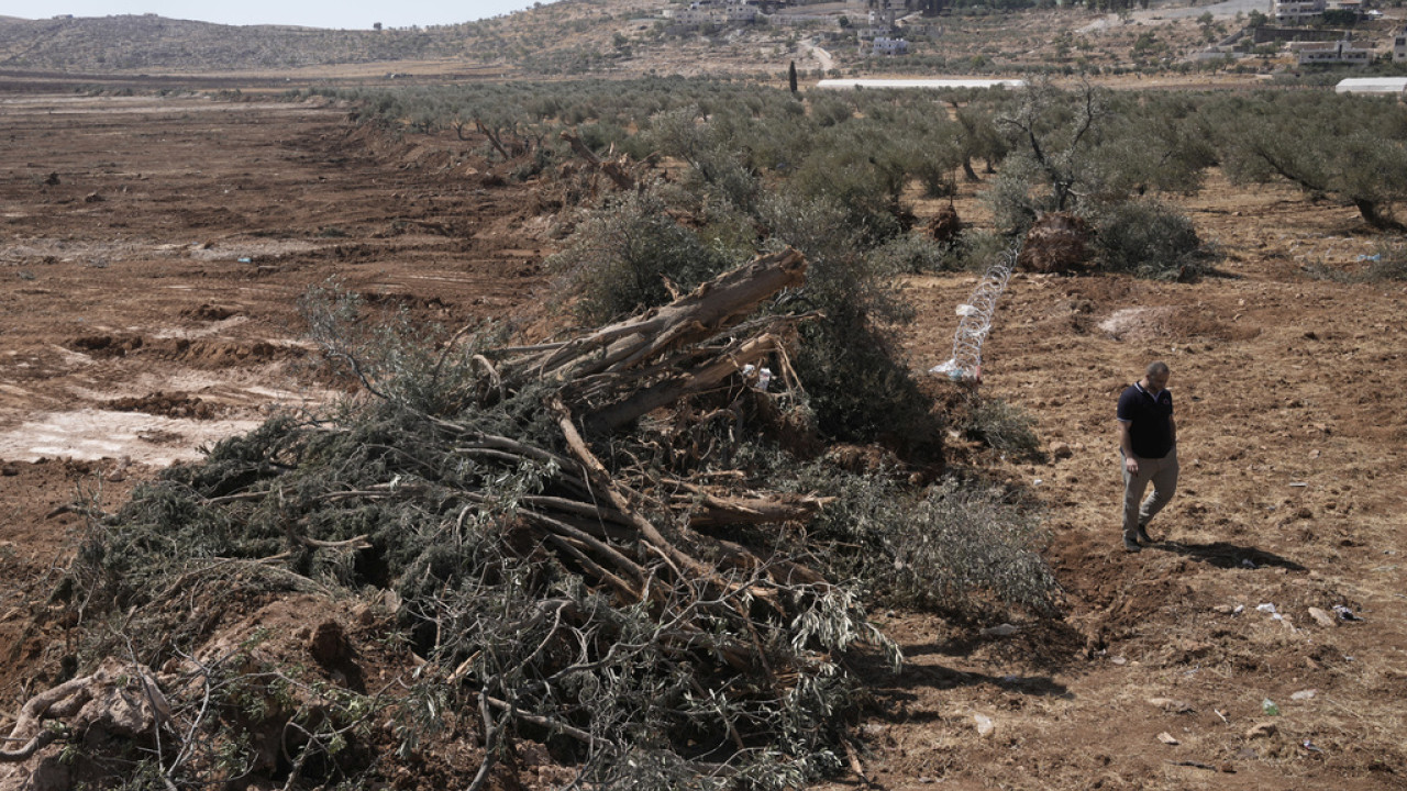 Δυτική Όχθη: Μπουλντόζες ξερίζωσαν ελαιόδεντρα