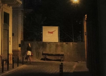 Επιστολή της Αννίτας Δημητρίου σε ΕΕ για την κράτηση πέντε Ελληνοκυπρίων στα κατεχόμενα