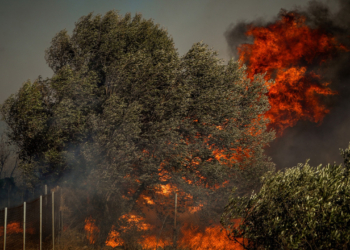 Ευρωπαϊκή Ένωση: Ρεκόρ πυρκαγιών με πάνω από 10 εκατομμύρια στρέμματα καμένης γης